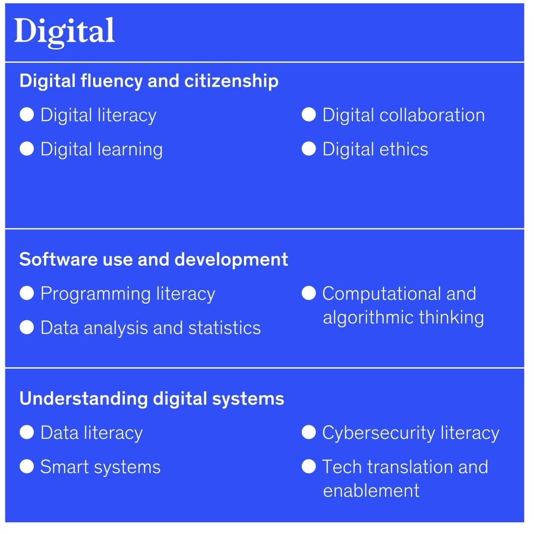 A breakdown of fundamental skills over the "key" digital skill area