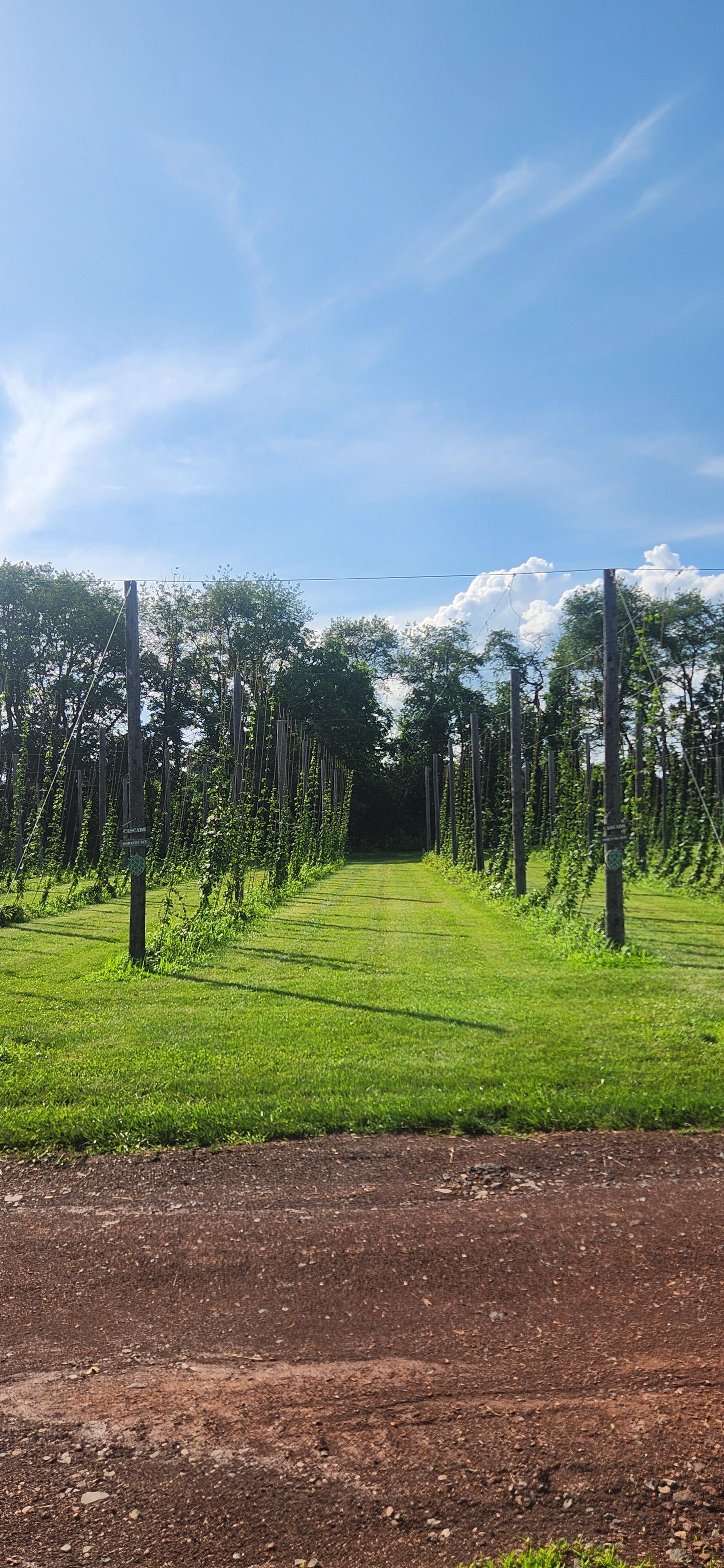 farmland