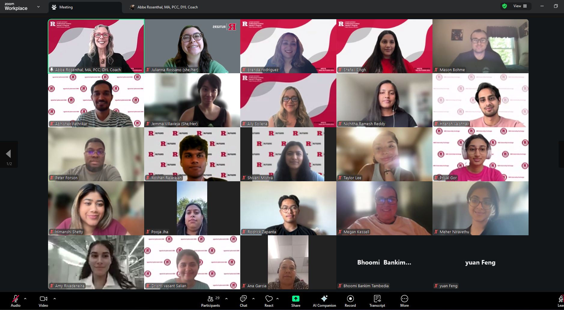 screenshot of zoom call